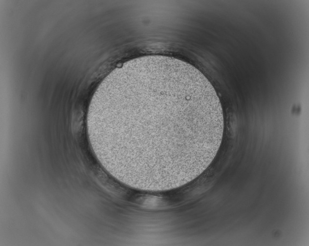 X0000112980507200910081113