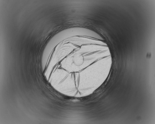 X0000112980509200910081113