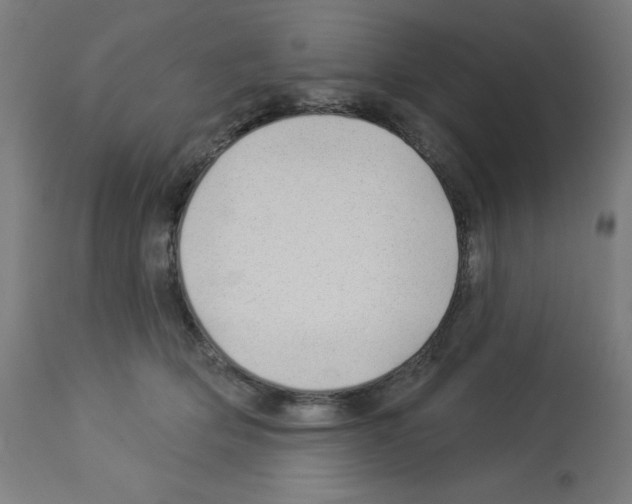 X0000112980514200910081113