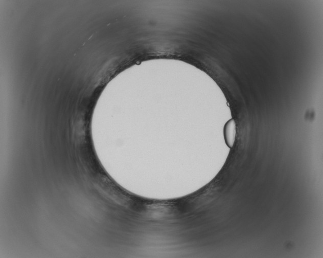 X0000112980516200910081113