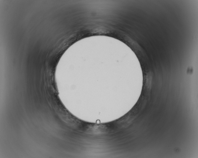 X0000112980517200910081113