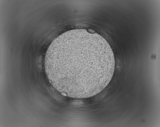 X0000112980519200910081113