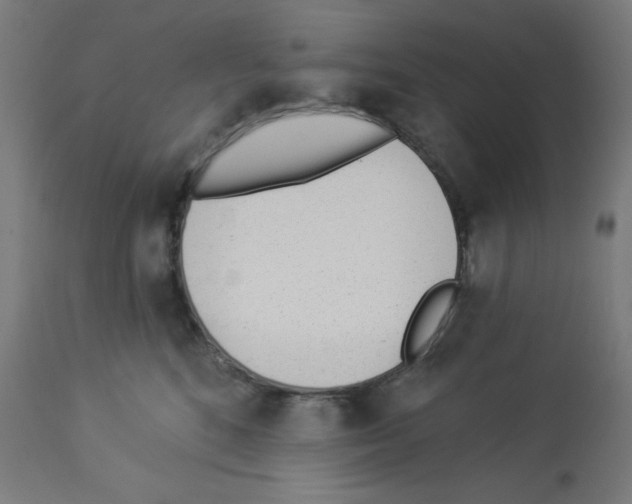 X0000112980520200910081113