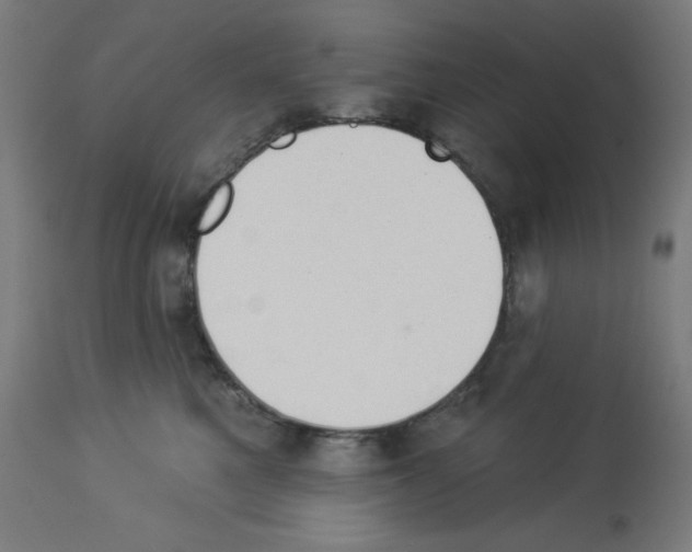 X0000112980521200910081113