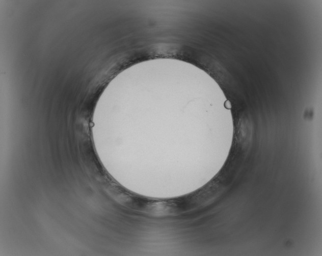 X0000112980522200910081113