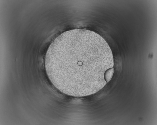 X0000112980523200910081112