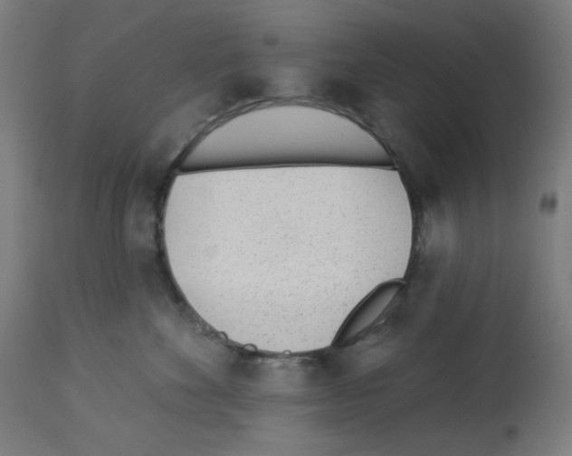X0000112980524200910081112
