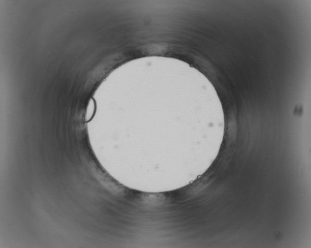 X0000112980525200910081112