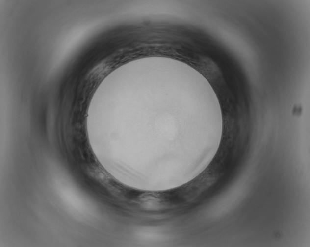X0000112980526200910081112