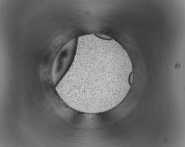 X0000112980528200910081112
