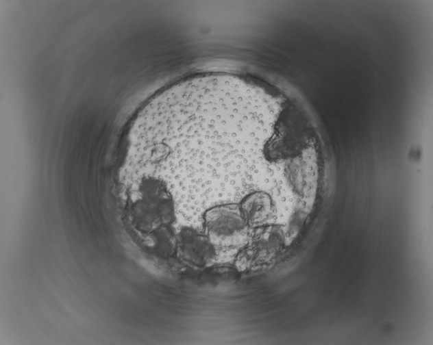 X0000112980529200910081112