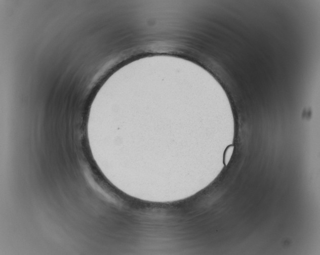 X0000112980530200910081112