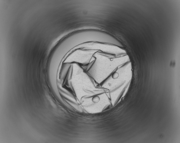 X0000112980532200910081112