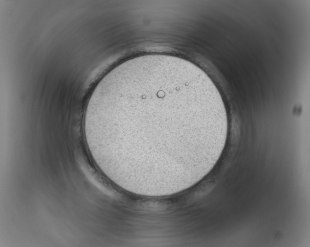 X0000112980533200910081112
