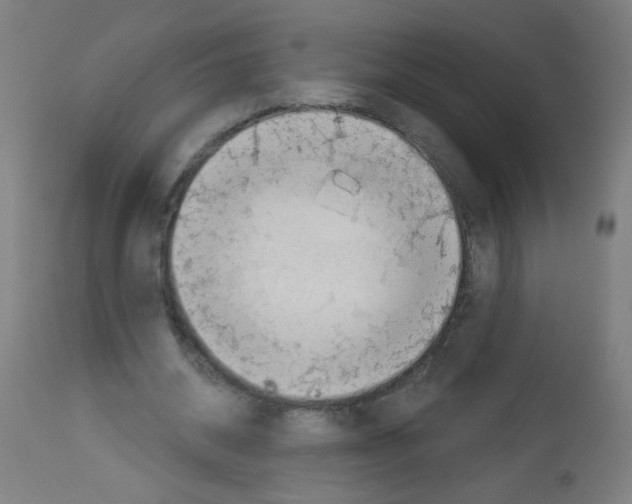 X0000112980534200910081112