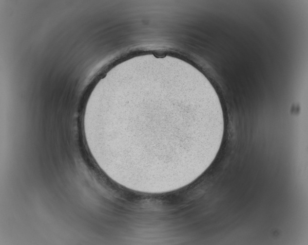 X0000112980535200910081112