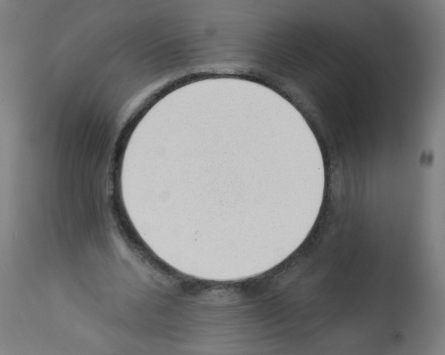 X0000112980536200910081112