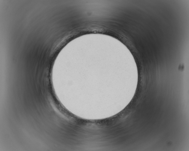 X0000112980538200910081112