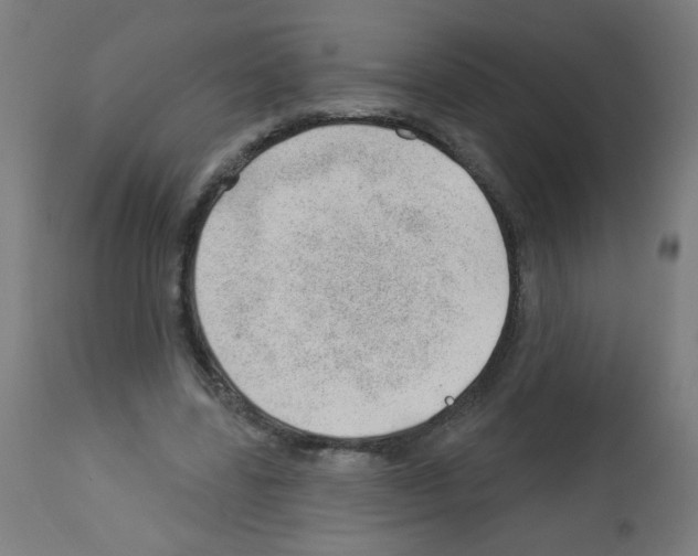 X0000112980539200910081112