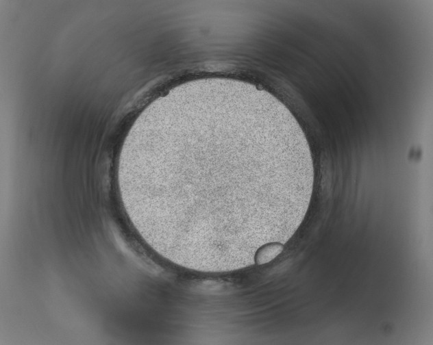 X0000112980542200910081112