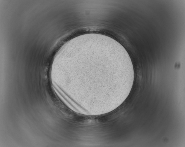 X0000112980543200910081112