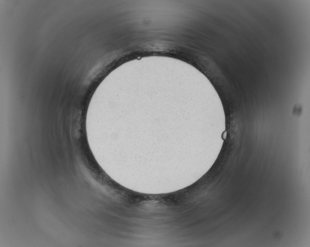X0000112980544200910081112