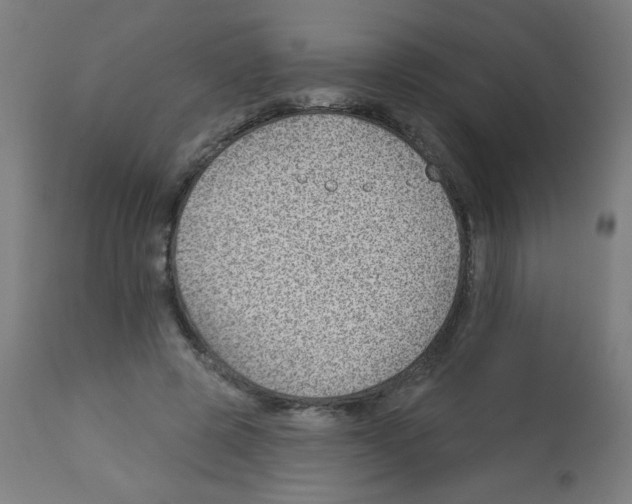 X0000112980545200910081112