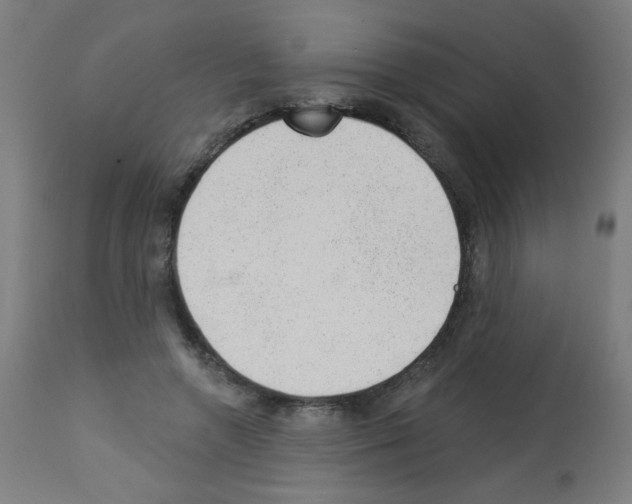 X0000112980546200910081112