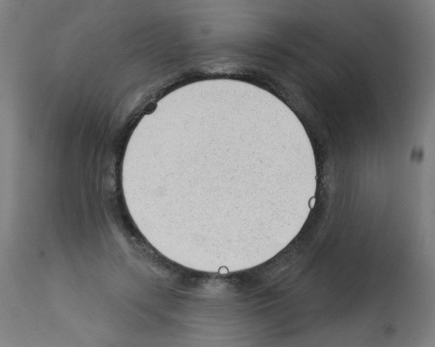 X0000112980547200910081112