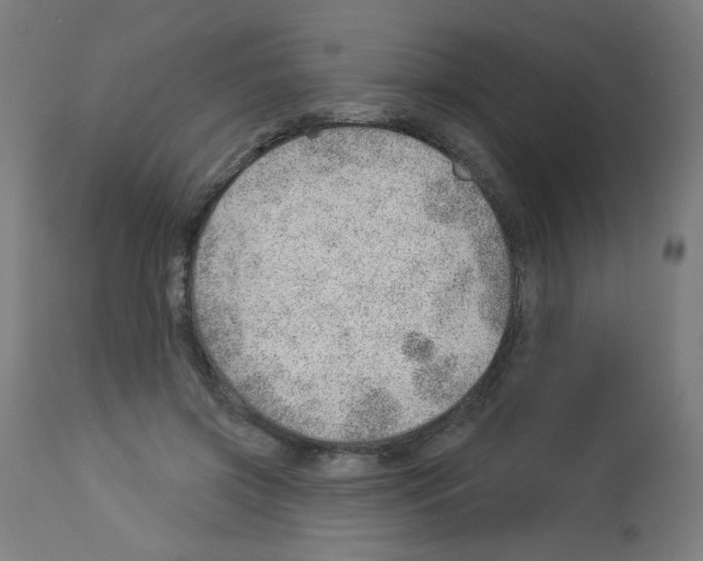 X0000112980549200910081112