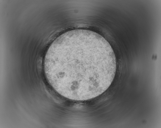 X0000112980550200910081112