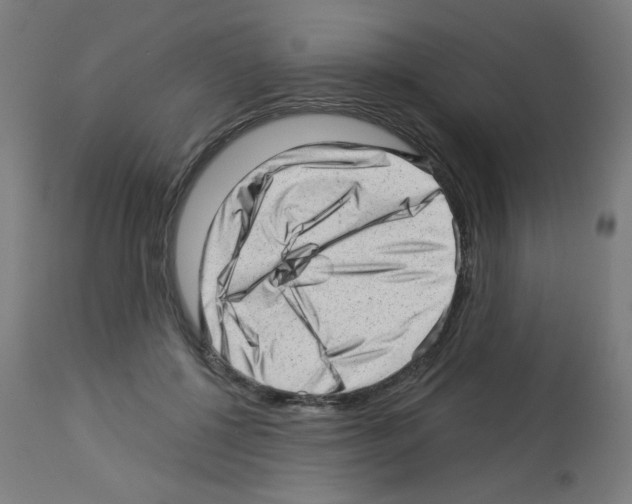 X0000112980552200910081112