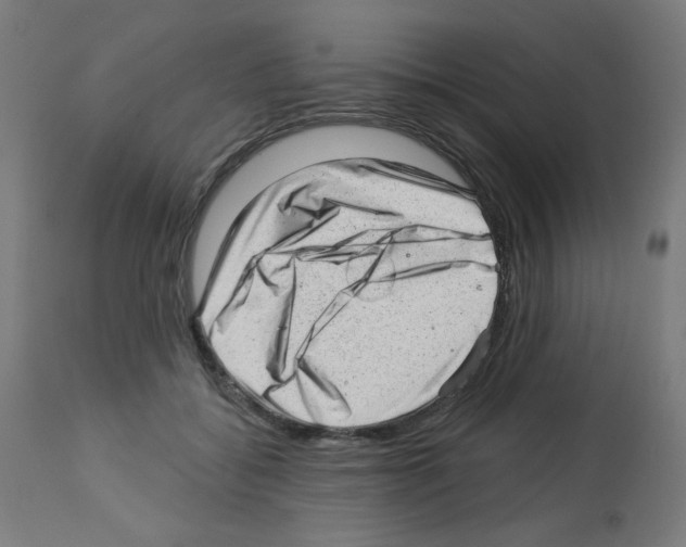X0000112980556200910081112
