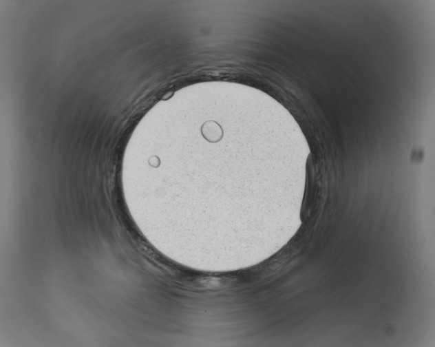 X0000112980558200910081112