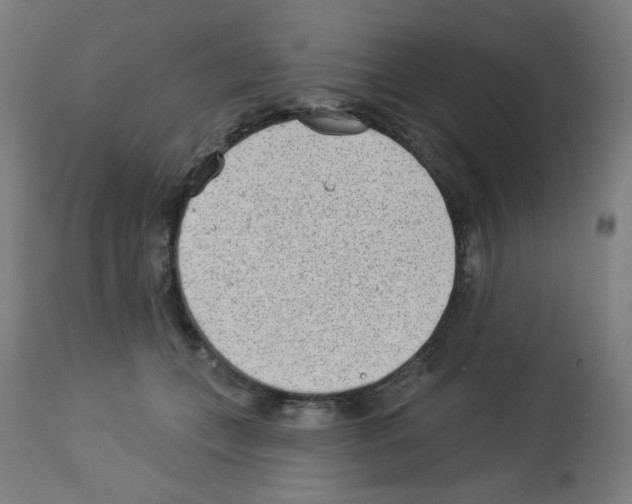 X0000112980559200910081112