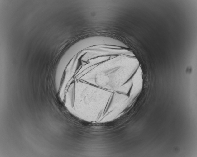 X0000112980560200910081112
