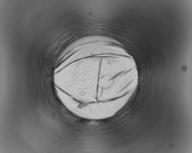 X0000112980566200910081112