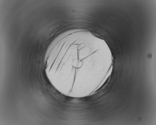 X0000112980568200910081112