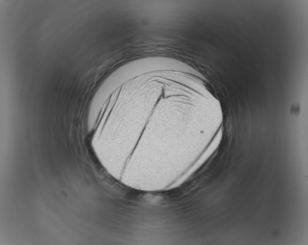 X0000112980570200910081112