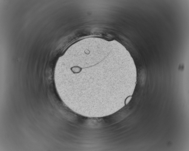 X0000112980571200910081112