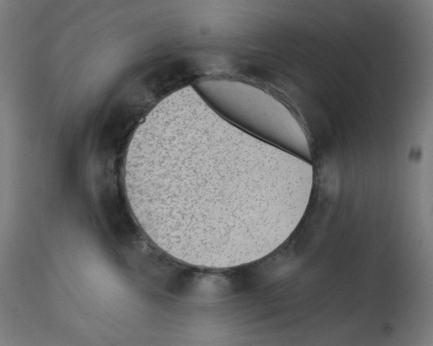 X0000112980572200910081112