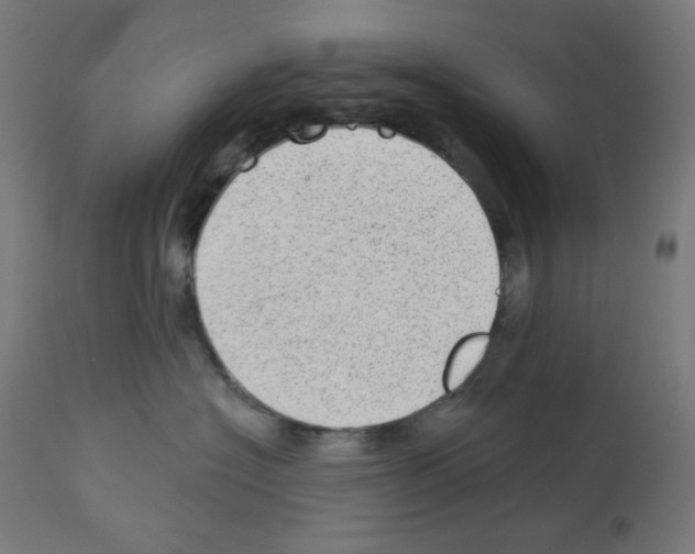 X0000112980574200910081112