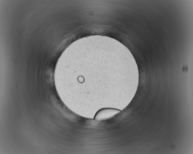 X0000112980575200910081112