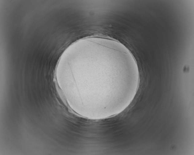 X0000112980576200910081112