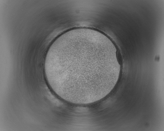 X0000112980577200910081112