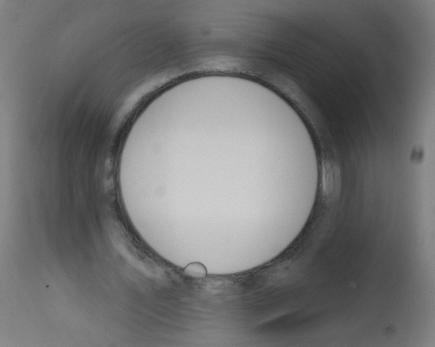 X0000112980579200910081112