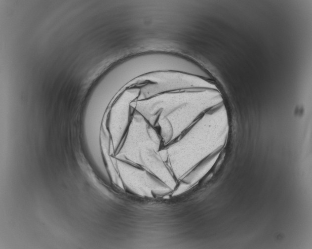 X0000112980581200910081112