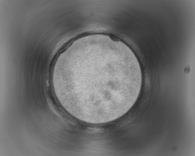 X0000112980582200910081112