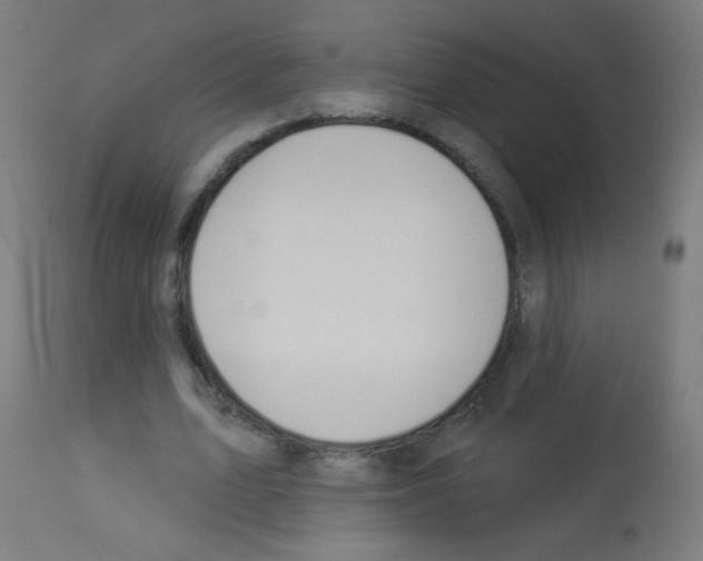 X0000112980583200910081112