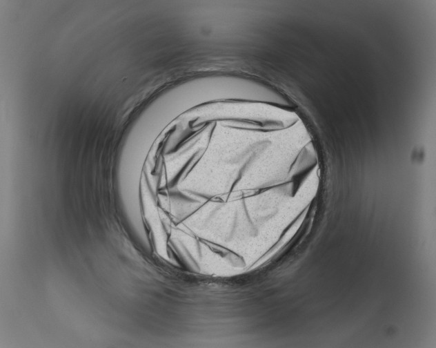 X0000112980585200910081111